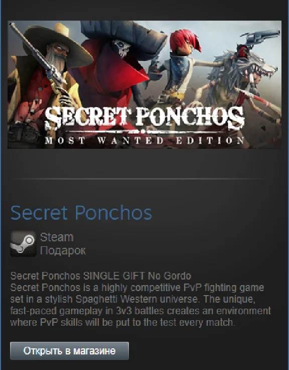 Secret Ponchos (Steam Gift Region Free / ROW)