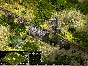 Sudden Strike Trilogy (Steam key) -- Region free