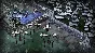 Dont Starve Together >>> STEAM GIFT | RU-CIS