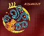 Sign of the zodiac Aquarius. Machine Embroidery Design