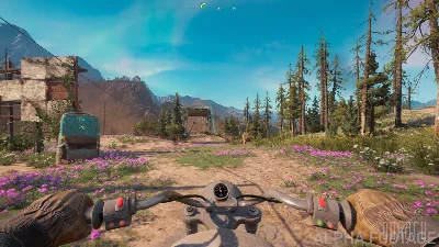 Far Cry New Dawn (Россия)