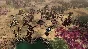 Warhammer 40,000: Gladius - Tyranids (Steam key) @ RU