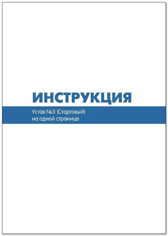Charter of LLC No. 3 (Starter) on page 1 | 2025