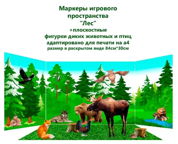 Маркеры игрового пространства "Природные зоны"