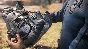 Fallout 76 (Microsoft Store KEY Global)