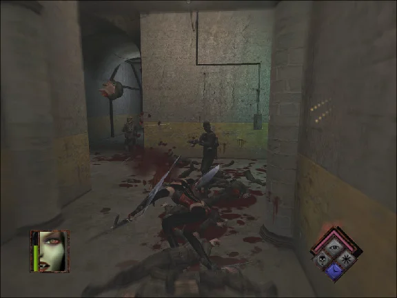 BloodRayne + Terminal Cut (Steam Gift Region Free /ROW)