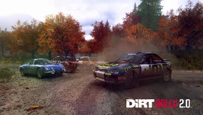 DiRT Rally 2.0 (Россия)