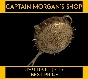 PGI Pan of Judgement 🍳 (LEGAL CODE) Region Free