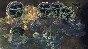 Torment: Tides of Numenera (Ключ / RU)