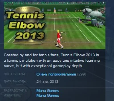 Tennis Elbow 2013 💎 STEAM GIFT RU+CIS