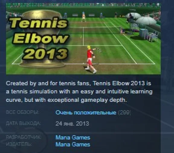 Tennis Elbow 2013 💎 STEAM GIFT RU+CIS