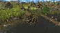 Dawn of Man * RU/KZ/CIS/TR/AR * STEAM 🚀 AUTO DELIVERY