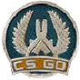 Set of cards for badge Counter-Strike Global Offensive