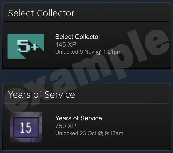 CSGO + 10-YEAR VETERAN COIN (15 YEARS ACC OLD) NO PRIME