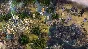 Age of Wonders III 🔑STEAM KEY 🔥RUSSIA + CIS