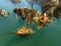 The Guild 2: Pirates of the European Seas 🔑STEAM KEY