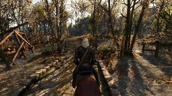 The Witcher® 3: Wild Hunt (GOG|RU/CIS)