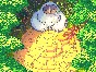 Rakuen (Steam) Region Free