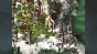 Cultures - 8th Wonder of the World (Steam) Region Free