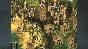 Cultures - 8th Wonder of the World (Steam) Region Free
