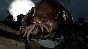 👻Gears of War 4 XBOX ONE + Windows 10 (Region Free)