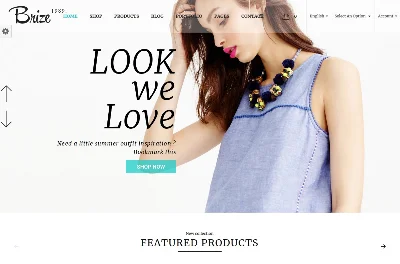 ТОП 5 Премиум шаблонов для WooCommerce 2019