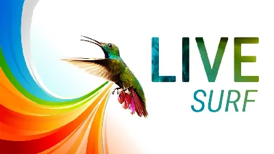1000 посещений из системы LiveSurf + БОНУС