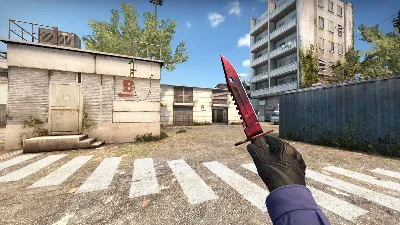 Random KNIFE or thing Counter Strike GO (CSGO) + Bonus