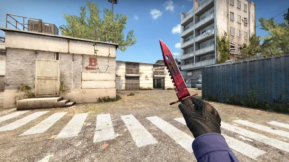 Random KNIFE or thing Counter Strike GO (CSGO) + Bonus