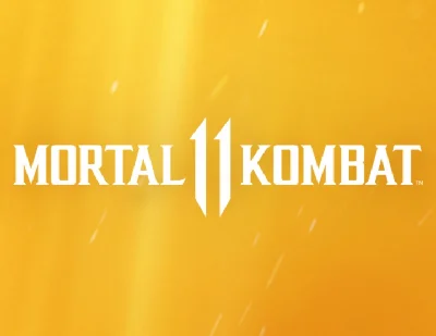 Mortal Kombat 11 P (Steam key)