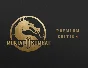 Mortal Kombat 11 Premium Edition (Steam key) -- RU