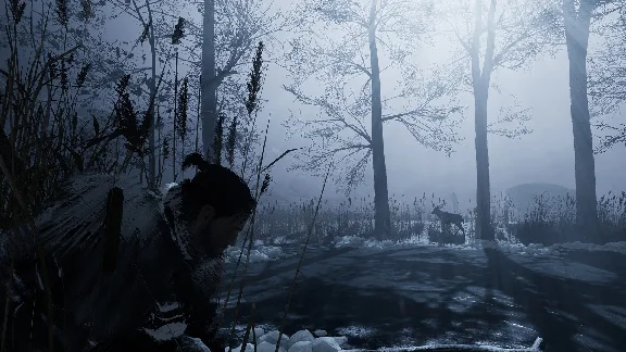Fade to Silence (Steam/ Key/Ru)