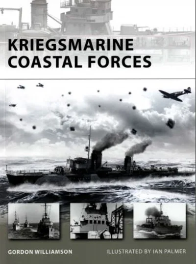 Книга: Корабли береговой охраны