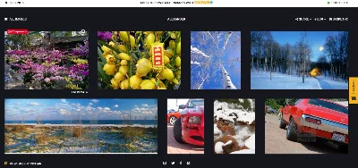 Online store copyright digital photoframes