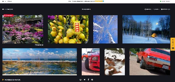 Online store copyright digital photoframes
