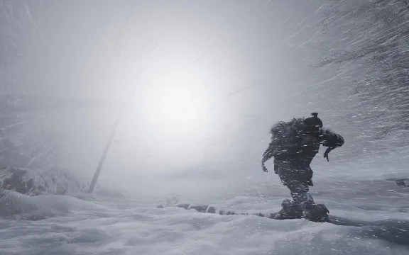 Fade to Silence (Steam/ Весь Мир)