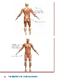 Nord Pole Walking