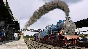 Railway Empire Germany DLC (steam key)