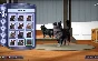 The Sims 4 Cats & Dogs (Origin DLC Key) Multilanguage