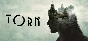 TORN (steam key RU)