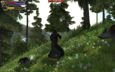 Two Worlds II - Game Of The Year Velvet Edition @ RU