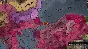 Crusader Kings II: Song of the Holy Land Steam @ RU