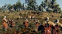 Life is Feudal: MMO. Zealot Starter Pack (Steam) @ RU