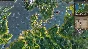 Patrician IV Gold (Steam key) @ RU