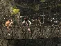 Pirates of the Caribbean: At World´s End @ Region free