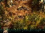 Robin Hood (Steam key) @ RU