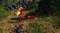 SpellForce Complete Pack (Steam key) @ RU