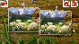 Teddy Floppy Ear - Mountain Adventure (Steam key) @ RU