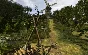 Return to Mysterious Island (Steam key) @ RU