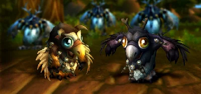 Питомец Лунный совух Moonkin hatchling (RU/EU)код сразу